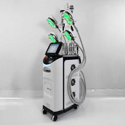 Máy làm tan mỡ bụng CE, Máy giảm béo đông lạnh Cryolipolysis